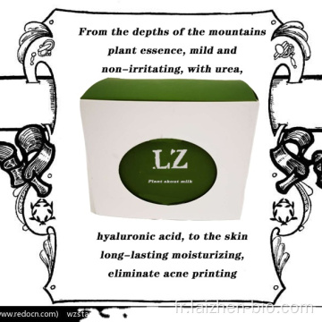 Laizhen Plant Essence Fix BB Crème